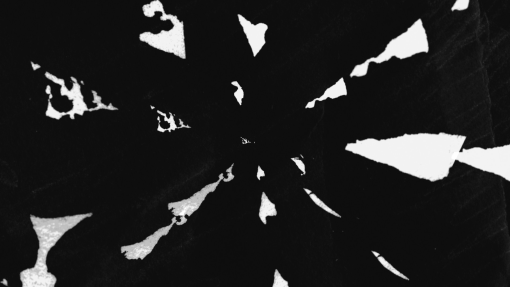 Photo-1-still-4---Untitleded-2021.jpeg